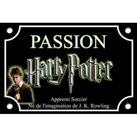 PLAQUE de RUE HARRY POTTER MAGIE ALU