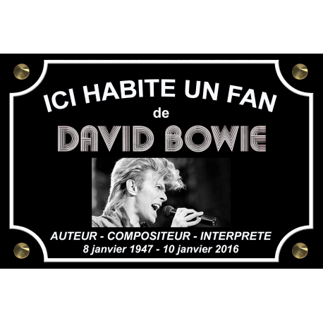 PLAQUE FAN DAVID BOWIE