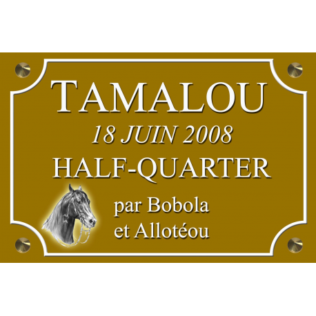 PLAQUE IDENTITE CHEVAL